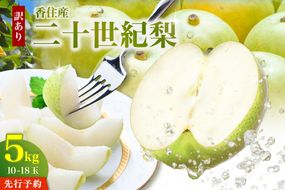 《2027年産 先行予約》 二十世紀梨 訳あり 約5kg（L～5Lサイズ混合 10～18玉） 生産者応援商品 【令和9年8月下旬以降発送予定】 国産 梨 香住産 20世紀梨 シャキシャキ 甘い みずみずしい 香住梨 フルーツ 果物 なし ナシ ご家庭用 ジャム 加工用 傷あり 不揃い 青梨 和梨 大人気 人気 おすすめ ランキング 兵庫県 香美町 JAたじま 1万以下 12-23