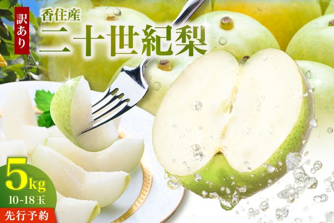 《2027年産 先行予約》 二十世紀梨 訳あり 約5kg（L～5Lサイズ混合 10～18玉） 生産者応援商品 【令和9年8月下旬以降発送予定】 国産 梨 香住産 20世紀梨 シャキシャキ 甘い みずみずしい 香住梨 フルーツ 果物 なし ナシ ご家庭用 ジャム 加工用 傷あり 不揃い 青梨 和梨 大人気 人気 おすすめ ランキング 兵庫県 香美町 JAたじま 1万以下 12-23