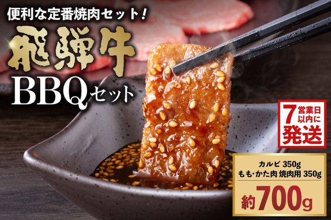 飛騨牛BBQセット（カルビ350g、もも・かた肉 焼き肉用350g） 【0016-022-1w】