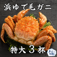 78-16 流氷明け浜ゆで毛ガニ　特大3杯