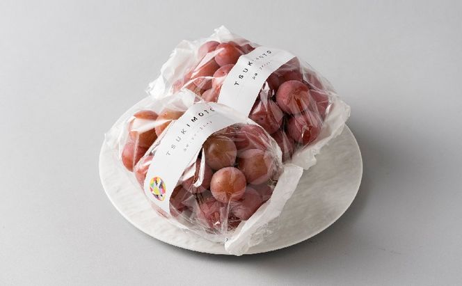 【2026年先行予約】 ぶどう 岡山県産 クイーンニーナ 1kg箱（2～3房） 《2026年8月下旬-9月下旬頃出荷》 葡萄 ブドウ 岡山県産 フルーツ 果物 スイーツ 数量限定 期間限定 岡山 里庄町 ブドウ ぶどう 葡萄 