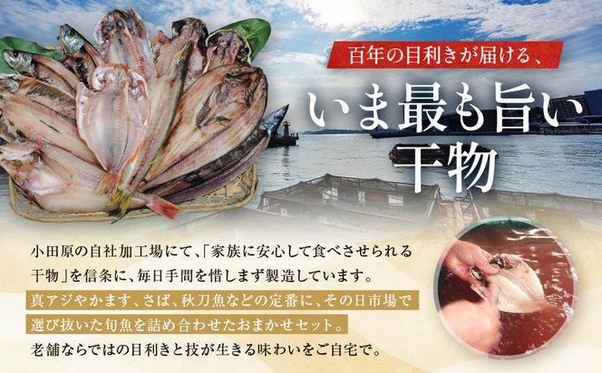 【国産】おまかせ干物セット 梅コース【お取り寄せ 海鮮 グルメ ギフト プレゼント 産地直送 産直 魚 手作り ひもの 詰め合わせ お中元 お歳暮 父の日 母の日 誕生日 自宅用 贈答品 贈答用 朝食 バーベキュー 神奈川県 小田原市 】 142069_AM003