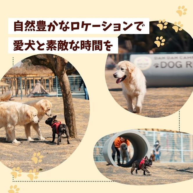 羽根谷だんだん公園 ドッグラン 年間パス 岐阜県 海津市