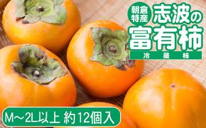 先行予約 志波の富有柿 M～2Lサイズ×約12個入（冷蔵）※配送不可：離島 果物 フルーツ 秋の味覚 おやつ デザート 産地直送 ブランド 柿の王様 福岡県産 朝倉市産