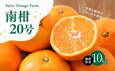 【先行予約】Saito Orange Farmの南柑20号10kg ｜ 温州みかん 代表 柑橘 みかん ミカン フルーツ 果物 愛媛　※離島への配送不可　※2024年12月上旬頃より順次発送予定