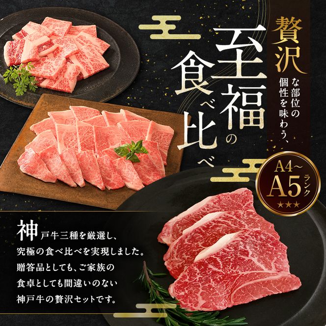 神戸牛 贅沢セットC 計850g 焼肉用ロース バラ ももステーキ
