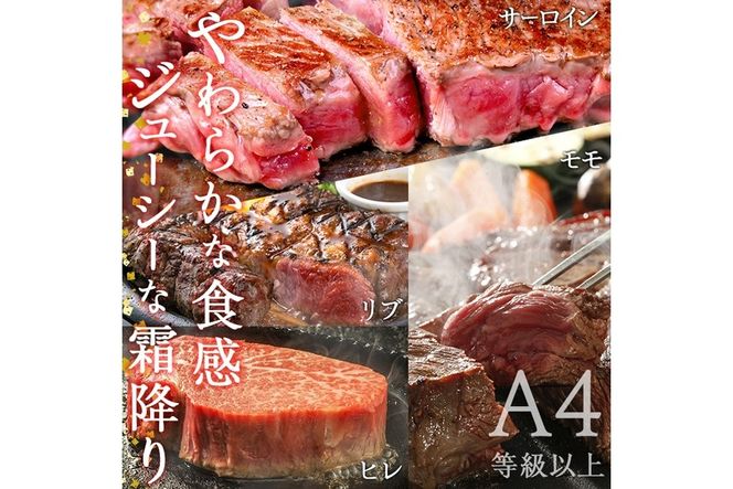 ＜定期便・全4回＞おおいた和牛 低温熟成 ステーキ 定期便 (3ヶ月ごとにお届け) 国産 牛肉 肉 霜降り A4 モモ リブロース サーロイン ヒレ 和牛 ブランド牛 冷凍 大分県 佐伯市【DH187】【(株)ネクサ】