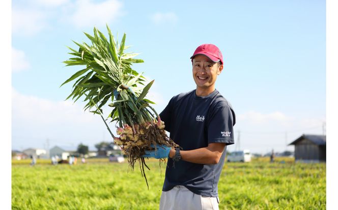 出雲生姜の七味唐辛子と温香雲片（粗挽き生姜）セット 322032_FW004