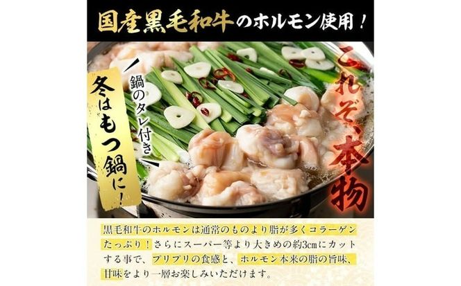 国産黒毛和牛ホルモン もつ鍋セット(2～3人前) p9-042