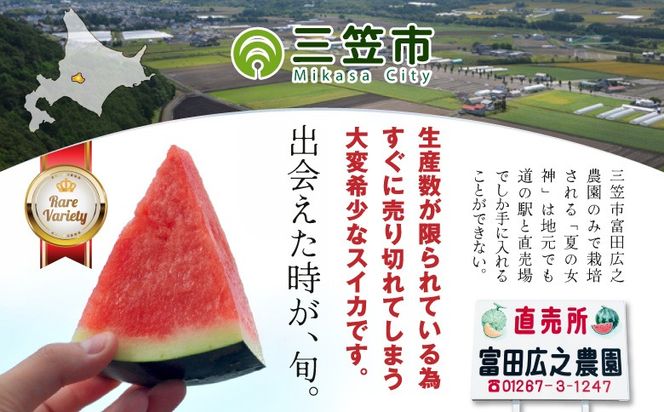 《2026年分受付中》『夏の女神』種が少なくて甘い黒皮スイカ1玉入（中玉4～6kg）【01005】
