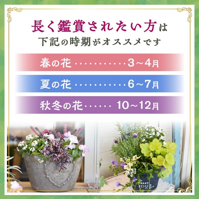 【10月頃から発送・お手軽ガーデニング】季節の寄せ植え（風の丘ガーデン） ギフト寄せ植え 贈答用寄せ植え 母の日 誕生日 記念