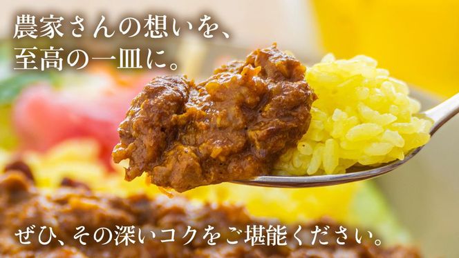 梨 の チャツネ（ペースト） を使った 牛すじ カレー 5個 セット レトルト 常温保存 備蓄 非常食 牛すじカレー コク 旨味 中辛 オリジナル グッズ 筑西市 限定 梨 なしカレー [DS003ci]