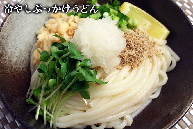ふっくらモチモチ神埼生うどん 10袋入【麺 うどん 生うどん 釜揚げうどん】(H014145)