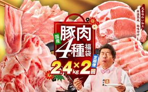 mrzZ023 国産豚肉 4種 定期便 2.4kg×2回【氷温熟成×極味付け 小分け 300gパック ぶたにく 普段使い 野菜炒め 切り落とし 毎月配送コース】