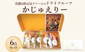 美濃山県元気ファームのドライフルーツかじゅえりー6点セット  [No.140]