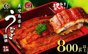 【訳あり・数量限定】復活！不揃いのうなぎ達 計800g以上(鹿児島県産 鰻の蒲焼き) b2-040