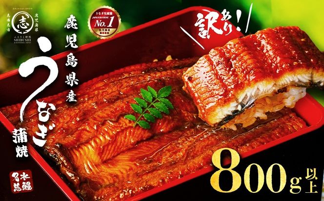 【訳あり・数量限定】復活！不揃いのうなぎ達 計800g以上(鹿児島県産 鰻の蒲焼き) b2-040