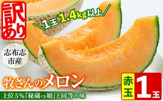 [冬限定・数量限定]牧さんの訳ありメロン 赤玉(赤肉)1玉 a1-057-w