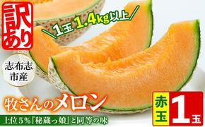【冬限定・数量限定】牧さんの訳ありメロン 赤玉(赤肉)1玉 a1-057-w