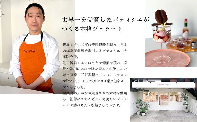 YAYOI TOKYO 監修ジェラート 3種以上おまかせ6個 詰め合わせ ボックスセット ジェラート ヤヨイ東京 世界 スイーツ デザート 贈答 プレゼント アイス 干し芋 K2564 