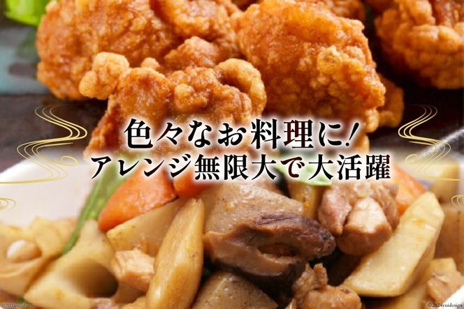 鶏肉 むね肉 若鶏むね肉 カット 250g ×16p セット 計 4kg [九州児湯フーズ 宮崎県 美郷町 31aj0054] 小分け むね 鶏胸肉 若鶏 鶏むね肉 ムネ 冷凍 国産 個包装