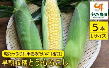 【先行受付】大人気！！果物みたいに『極甘』早朝収穫とうもろこし Lサイズ（300g）×5本【2026年6月中旬以降順次発送】≪糸島市≫【有限会社ウラタ農園】とうもろこし/トウモロコシ/期間限定 [ALI004]