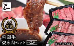 AB-46 A5飛騨牛焼き肉セット（合計2.9kg）