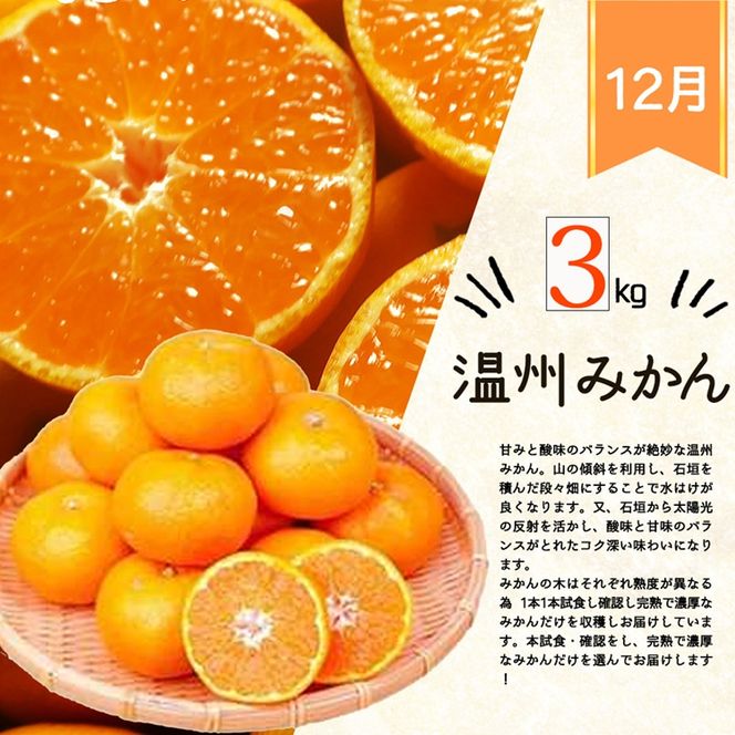 〈定期便〉【2・3・12月 全3回】紀州和歌山産旬のフルーツセット(まりひめ・紀州デコ・有田みかん)