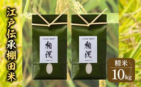【令和8年産 先行予約】江戸伝承棚田米10kg（5kg×2） お米 コメ