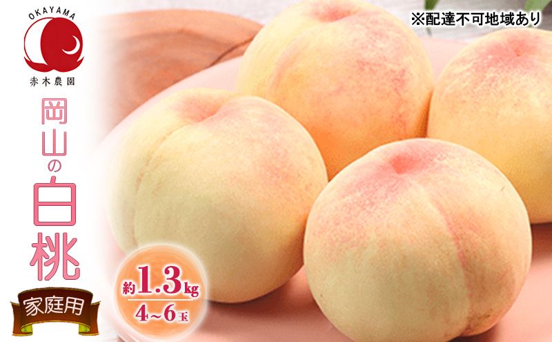 桃 2027年 先行予約 ご家庭用 岡山の白桃 約1.3kg 4〜6玉 白桃 もも モモ フルーツ 果物 岡山県産 国産 赤木農園