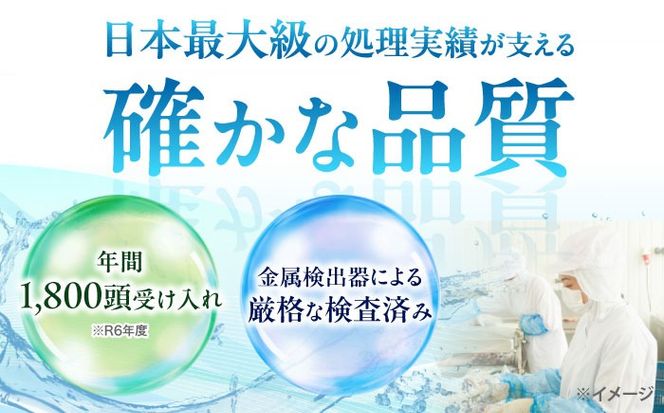 猪肉 ミンチ 1kg 雲仙いのしし / ひき肉 肉 イノシシ ジビエ いのしし ハンバーグ / 南島原市 / もりのめぐみ[SDB012]
