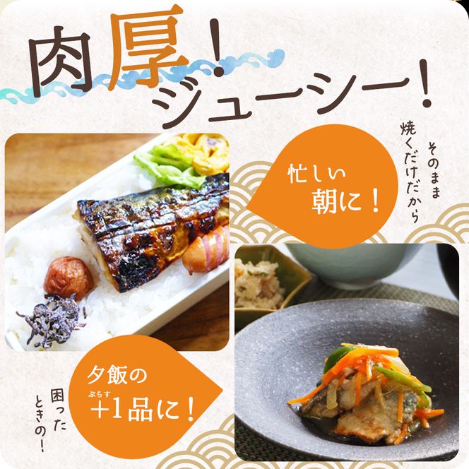 G7014_【訳あり 家庭用】無添加 塩さば フィレ 1kg