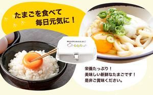 東かがわ市のたまご「鶏卵Mサイズ（10個×5P）」