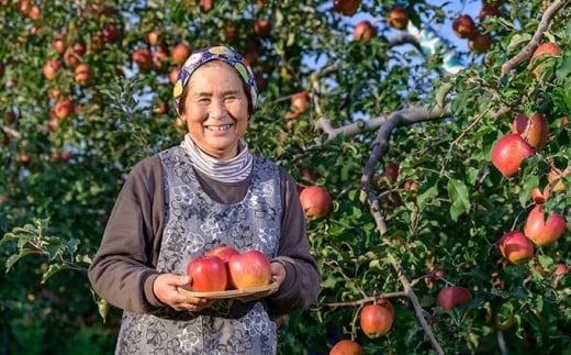 あいかの香り 約5kg 11～18玉 ［おぶせファーマーズ］ 果物 フルーツ りんご 林檎 リンゴ 長野県産 信州産 令和7年産 【2025年11月上旬～12月上旬発送】 ［F-234］