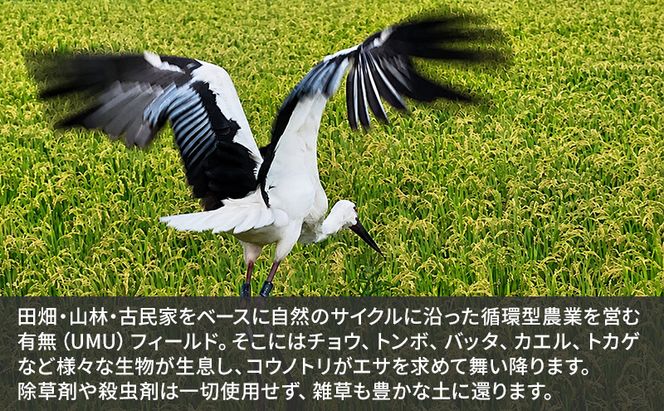 米 コウノトリ舞う田んぼで大自然が育てた"有無ファーム"こだわり米 5分づき 5kg お米 栽培期間中農薬・化学肥料不使用