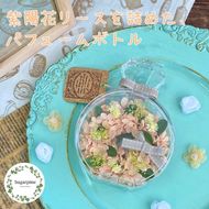 プリザーブドフラワー　ミミ　春日部市　シュガーパイン(AJ249)