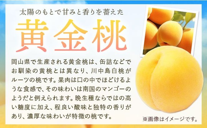 【令和7年度先行予約】桃 黄金桃 ご家庭用 選べる内容量 1.4kg (4～6玉) 2kg (5～8玉) フルーツファーム岡山《2025年8月中旬-9月下旬頃出荷》岡山県 浅口市 送料無料 フルーツ モモ 果物 青果 旬 国産 岡山県産【配送不可地域あり】---124_c761_8c9g_24_12000_14---