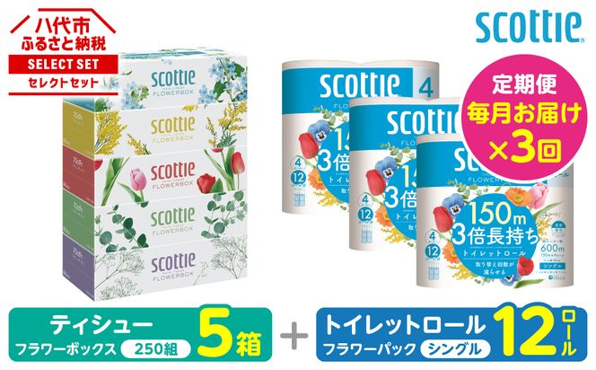 【定期便3回】【毎月お届け】【スコッティ】 組み合わせ ティシュー フラワーボックス 250組 5箱 計15箱 トイレットロール シングル フラワーパック 3倍長持ち 12ロール 計36ロール ティッシュ トイレットペーパー 日用品 防災備蓄 ストック 備蓄 新生活 防災 消耗品 生活用品 日用消耗品 箱ティッシュ