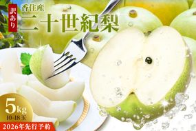 2026年産 先行予約【梨 訳あり 20世紀梨 5kg（10～18玉）】生産者応援商品！ 9月上旬～下旬にかけて発送予定 数量限定 ご家庭用 ジャム 加工用 傷あり 不揃い 訳あり 二十世紀梨 兵庫県  香美町 香住梨 フルーツ フルーツ先行予約 ナシ 青梨 和梨 JAたじま 10000円 12-23