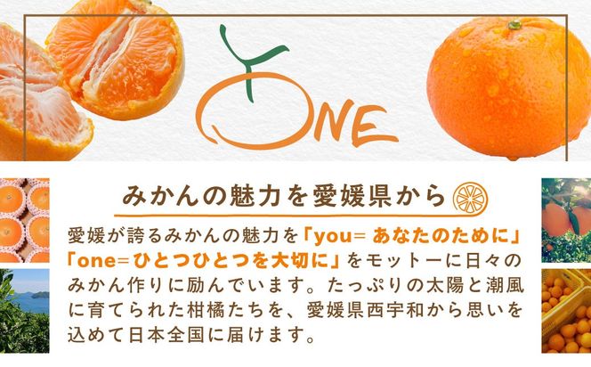 【先行受付】【数量限定】【家庭用】南柑20号（生果）5kg（2026年12月上旬頃より順次発送） IKTQ011