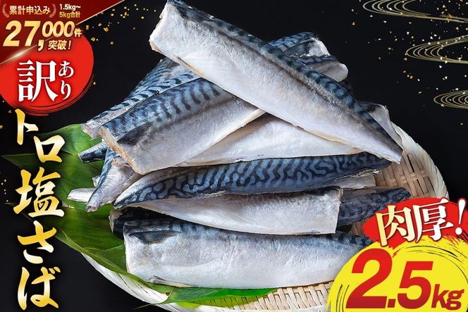 【CF02】訳あり 塩サバ フィレ 2.5kg [足利本店 宮城県 気仙沼市 20564146] 魚介類 魚 海鮮 大容量 サバ さば 鯖 サバフィレ サバフィーレ 鯖フィレ トロサバ 訳アリ 訳あり わけあり 切り身 冷凍
