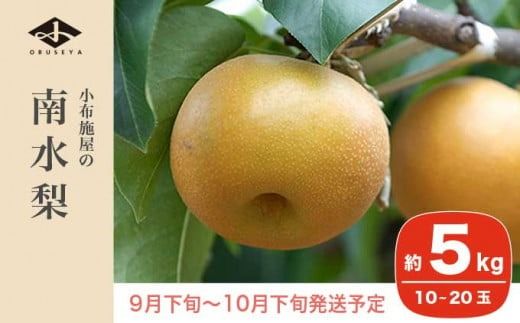南水梨 約5kg 10-20玉 ［小布施屋］ なし 梨 果物 フルーツ 令和7年産 【2025年9月下旬～10月下旬発送】［A-210］