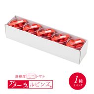  甘い ミニトマト アメーラルビンズ トマト 5パック 高糖度 10度 以上 化粧箱入り 産地 直送 新鮮 旬の 野菜 高級 フルーツトマト ジュース にも 静岡県 藤枝市