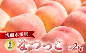 2026年発送 先行予約 「浅間水蜜桃プレミアム」 もも なつっこ 秀品 約2kg 5～9玉 ふるさと納税 果物 桃 フルーツ モモ 果肉  長野県産 小諸市 