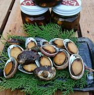 自家製とこぶし（ナガレコ）煮付け（130g×3）
※なくなり次第終了