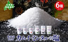 北海道 噴火湾 窯焚自然塩 カムイ・ミンタルの塩 6種セット プレーン 淡雪 粒 がごめ昆布 黒胡椒 ハーブ スタンド袋 自然塩 塩 ソルト おにぎり 東洋炉材 送料無料 食卓 味付け 