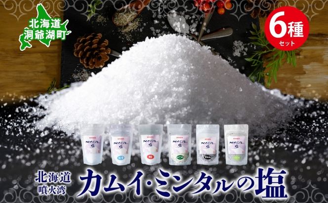 北海道 噴火湾 窯焚自然塩 カムイ・ミンタルの塩 6種セット プレーン 淡雪 粒 がごめ昆布 黒胡椒 ハーブ スタンド袋 自然塩 塩 ソルト おにぎり 東洋炉材 送料無料 食卓 味付け 