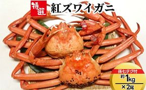 【特選】紅ズワイガニ約1kg×2尾（孫七タグ付） ※2025年9月中旬～2026年3月下旬頃に順次発送予定