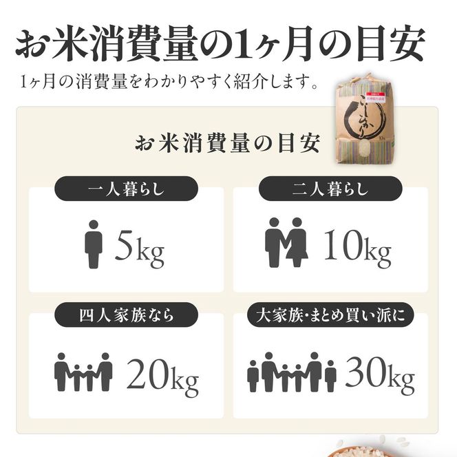 【令和６年産 コシヒカリ】白米10kg（10kg×1袋）2024年産(26-21)米 お米 米10kg お米10kg 兵庫県産 こしひかり コシヒカリ 西脇市産 令和６年産 R６年産 2024年産 精米