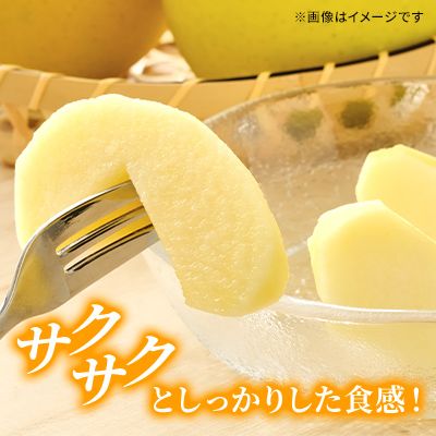 りんご シナノゴールド 家庭用 約10kg フルーツ 果物 甘い 訳あり 林檎 リンゴ